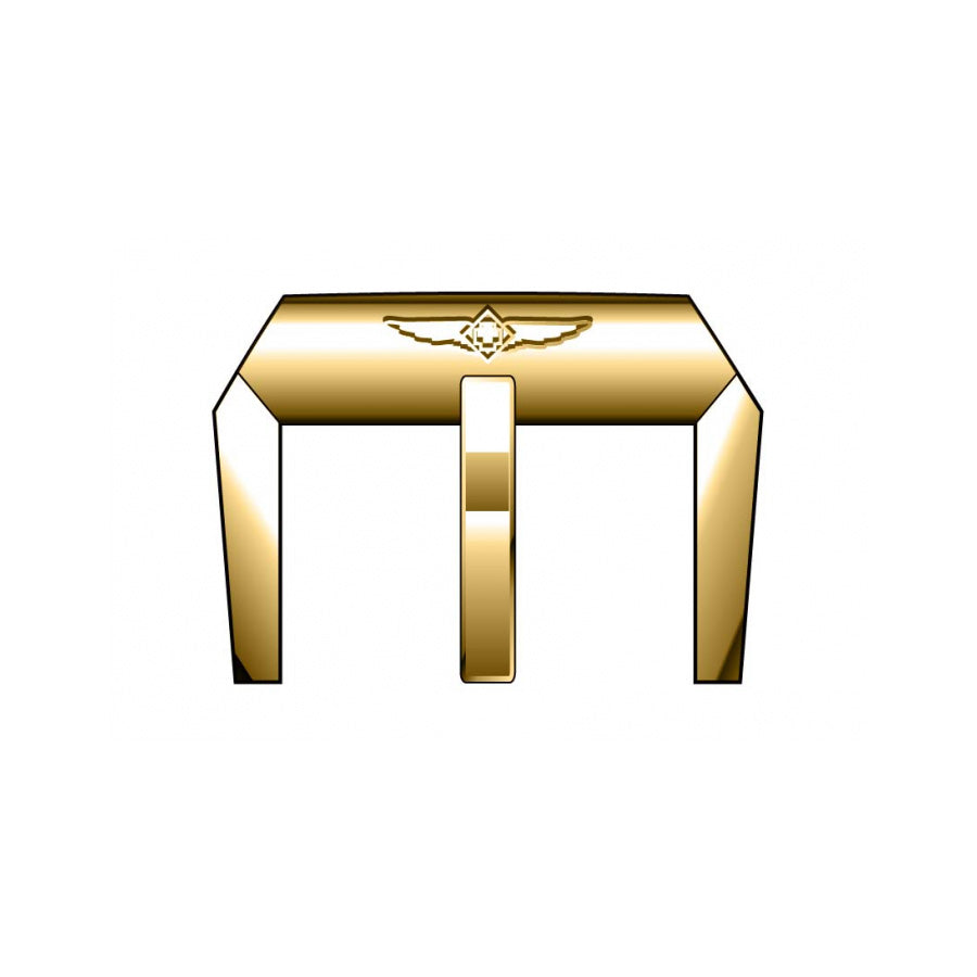 Ceas bărbătesc Invicta Aviator Gold Line 28100