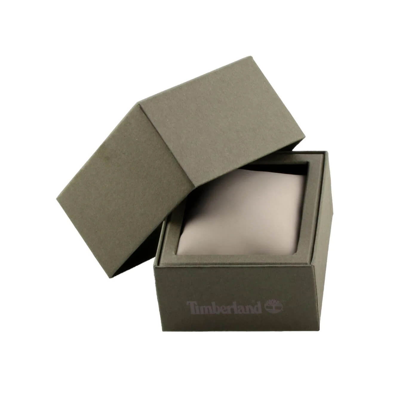 Ceas bărbătesc Timberland Ashmont