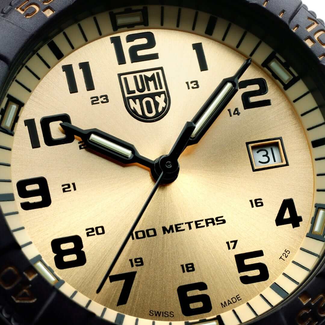 Ceas bărbătesc Luminox Leatherback SEA Turtle Giant CARBONOX™ XS.0325.GP