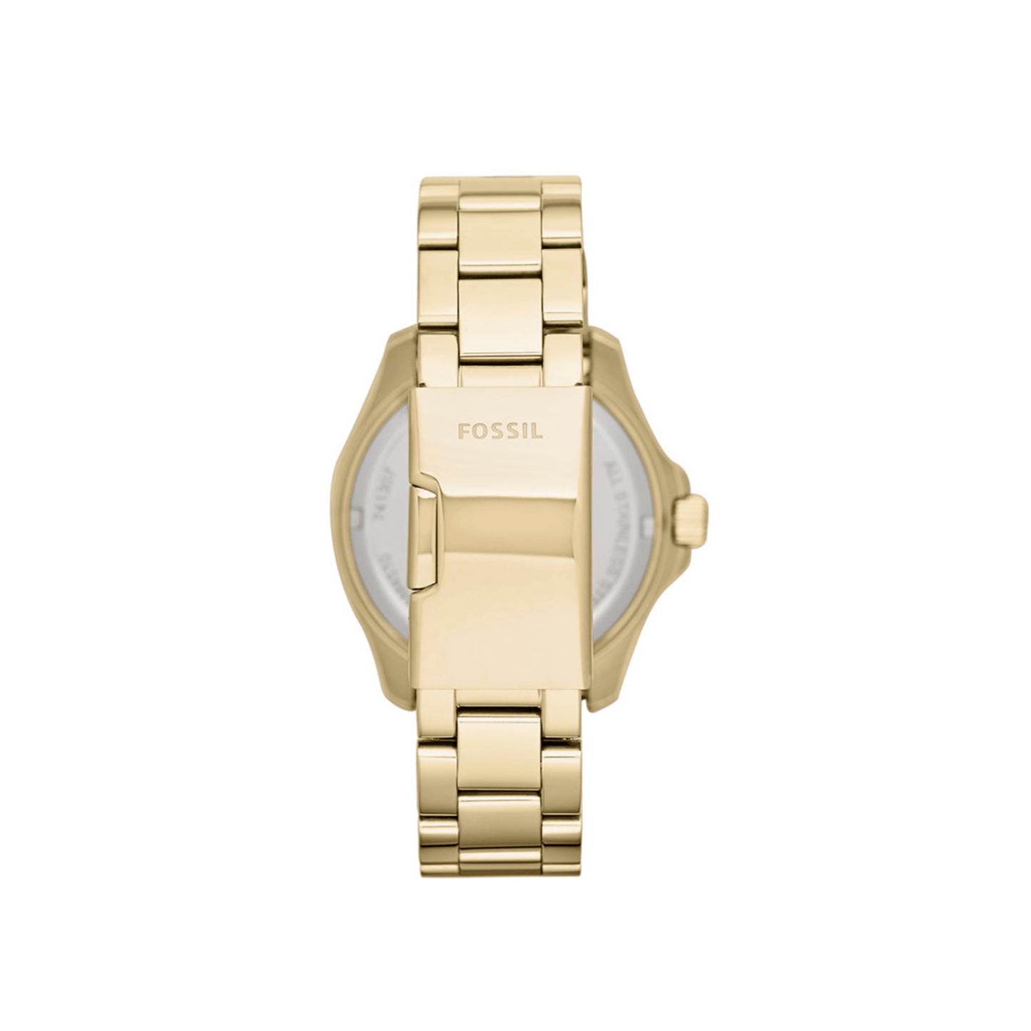 Ceas de damă Fossil Cecile AM4510