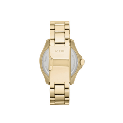 Ceas de damă Fossil Cecile AM4510
