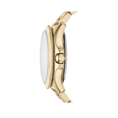 Ceas de damă Fossil Cecile AM4510