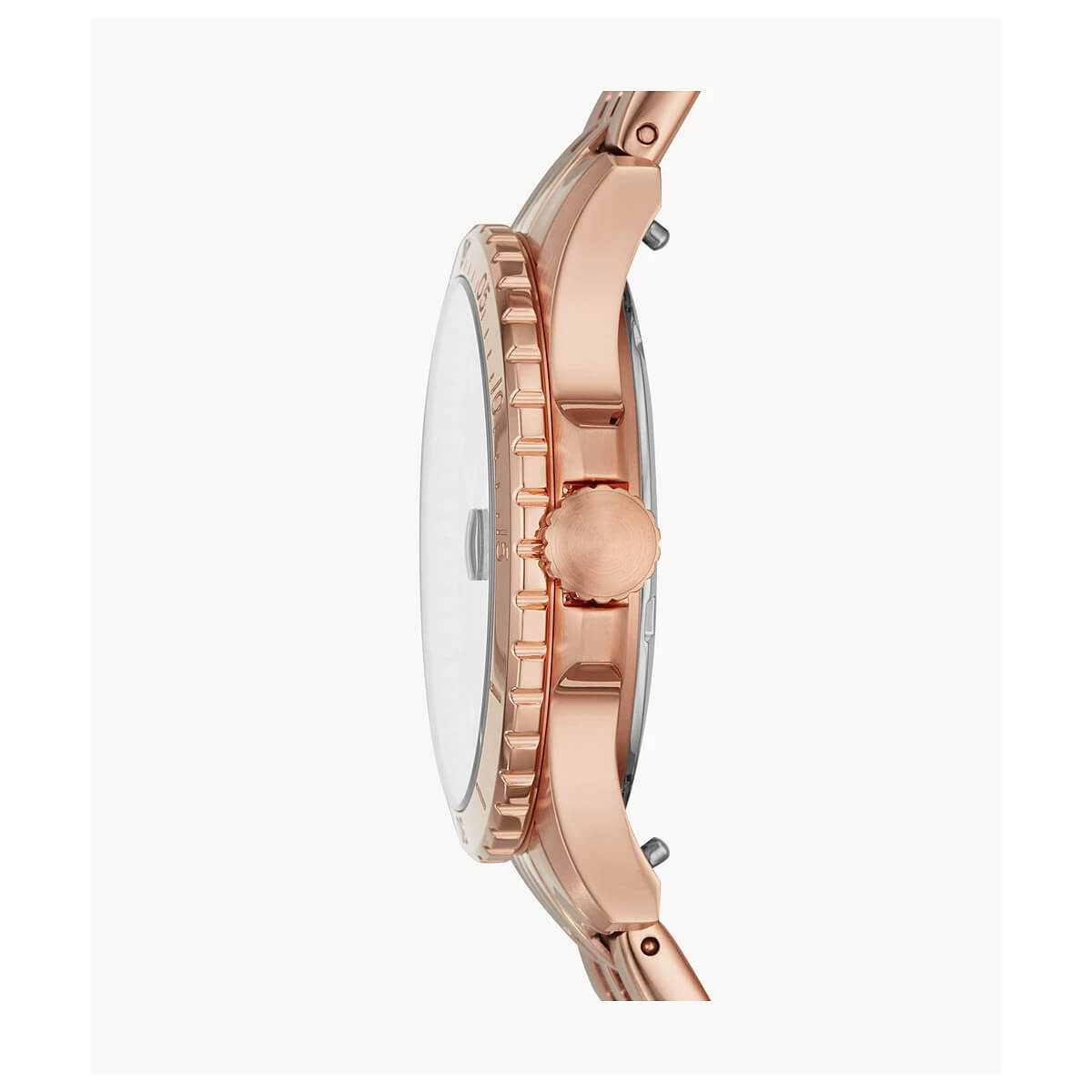 Ceas de damă Fossil FB - 01 ES4748