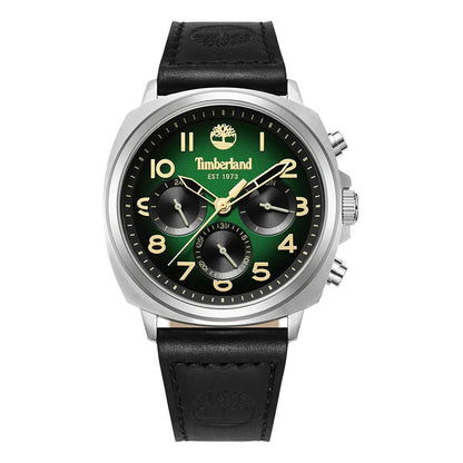 Ceas bărbătesc Timberland Williston TDWGB0042008