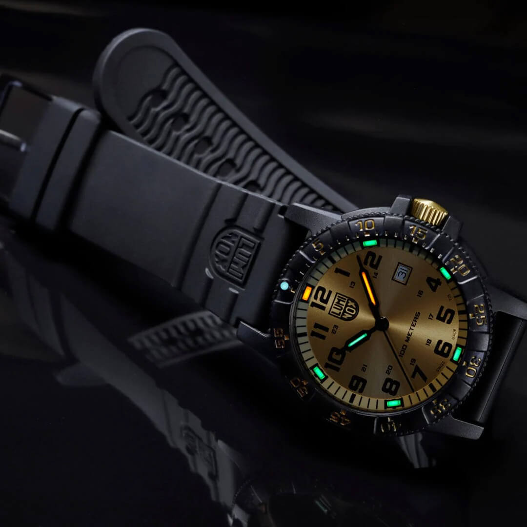 Ceas bărbătesc Luminox Leatherback SEA Turtle Giant CARBONOX™ XS.0325.GP