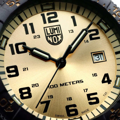 Ceas bărbătesc Luminox Leatherback SEA Turtle Giant CARBONOX™ XS.0325.GP